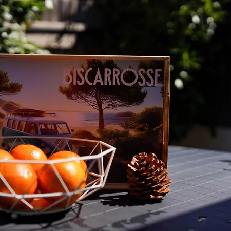 Maisonnette A 50m De La * Biscarrosse