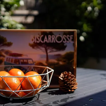 Hébergement de vacances Maisonnette A 50m De La *