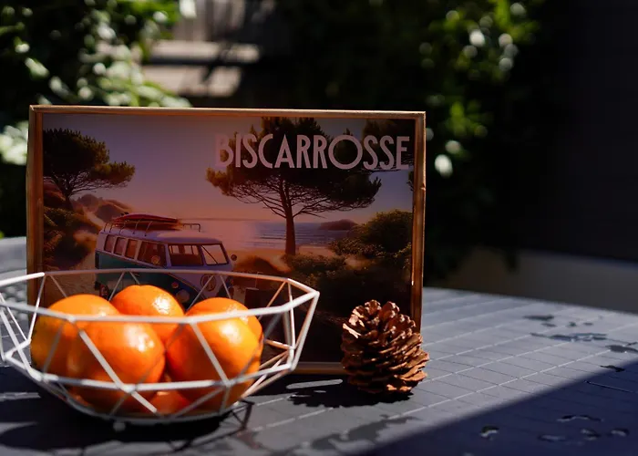 Maisonnette A 50m De La * Biscarrosse