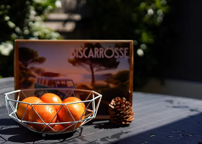 Ferienhaus Maisonnette A 50m De La *